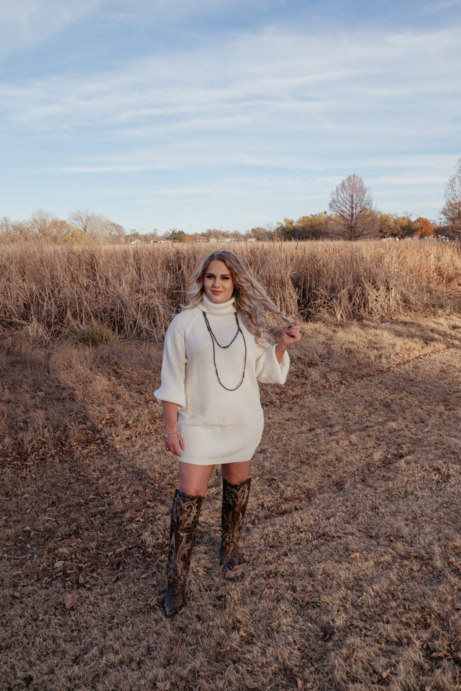 Turtleneck Sweater Dress